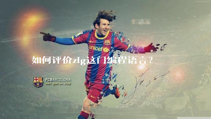 如何评价zig这门编程语言？