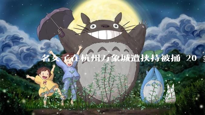 一名女子在杭州万象城遭挟持被捅 20 多刀，隆胸***体救了一命，这反映出哪些公安系统的问题？