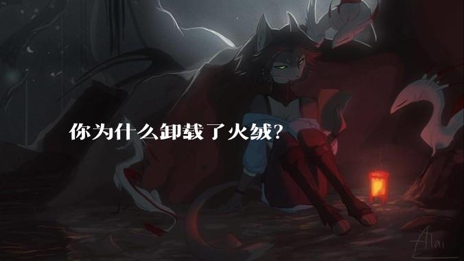 你为什么卸载了火绒？