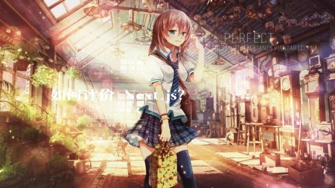 如何评价 Next.js？