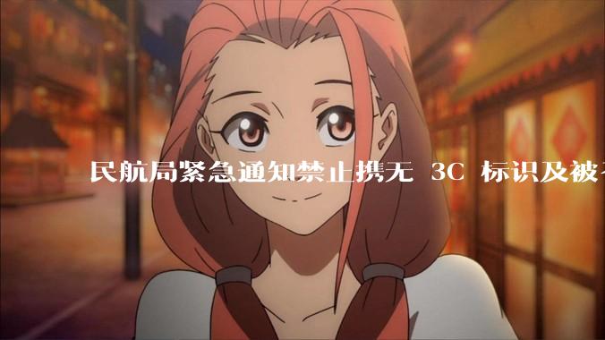 民航局紧急通知禁止携无 3C 标识及被召回的充电宝乘境内航班，无 3C 标识充电宝有哪些安全隐患？