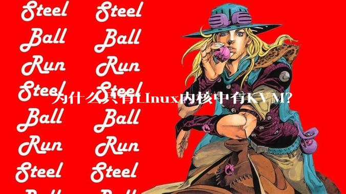 为什么只有Linux内核中有KVM？