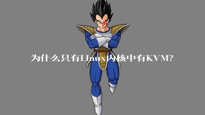为什么只有Linux内核中有KVM？