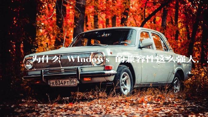 为什么 Windows 的兼容性这么强大，到底用了什么技术？