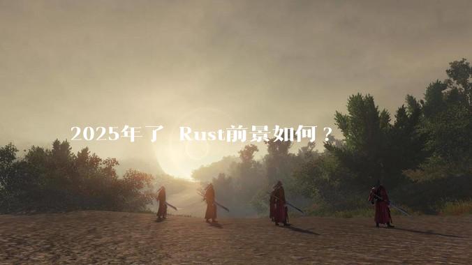 2025年了 Rust前景如何?