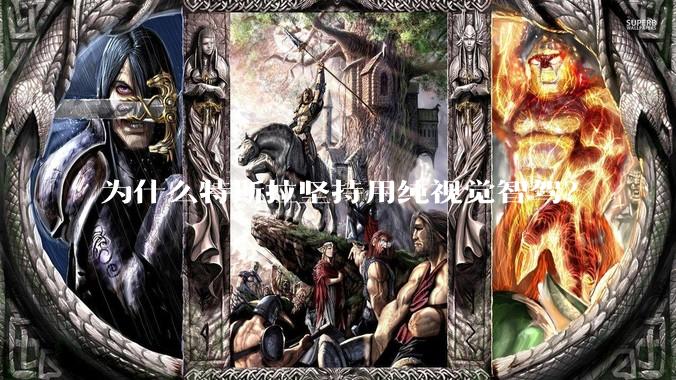 为什么特斯拉坚持用纯视觉智驾？