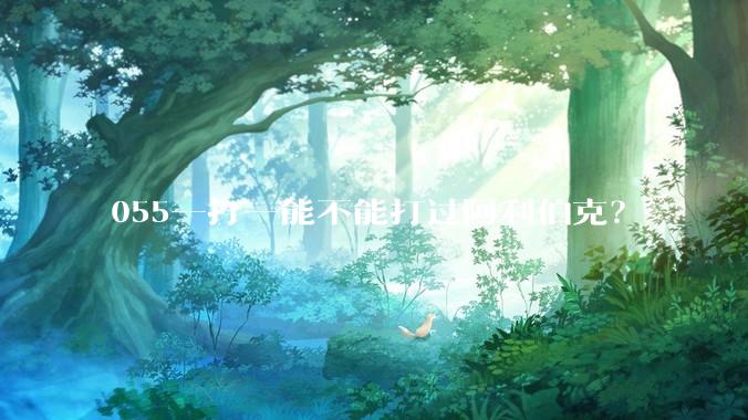 055一打一能不能打过阿利伯克？