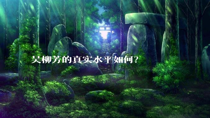 吴柳芳的真实水平如何？