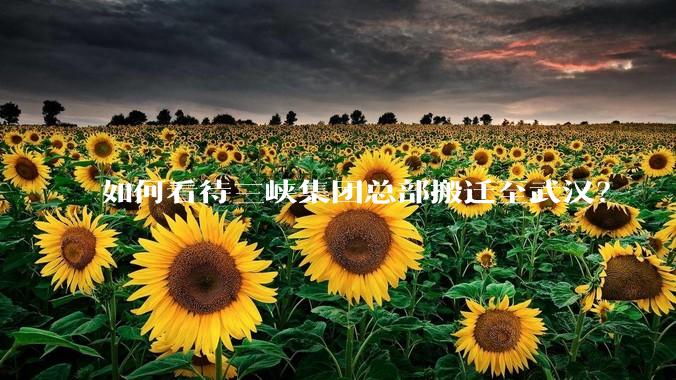 如何看待三峡集团总部搬迁至武汉？