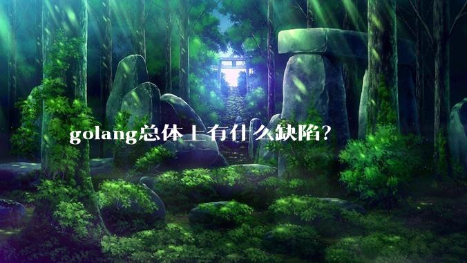golang总体上有什么缺陷？
