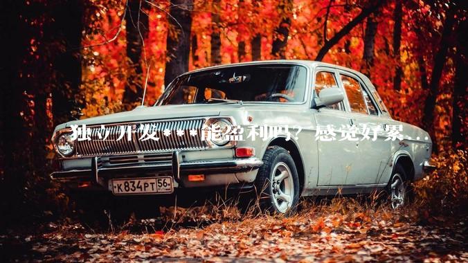 独立开发***能盈利吗？感觉好累...