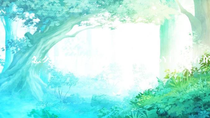 怎么理解开源项目若依（RuoYi）存在的意义？