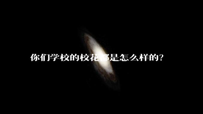 你们学校的校花都是怎么样的？