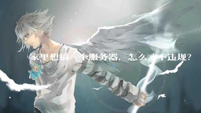 家里想搞一个服务器，怎么才不违规？