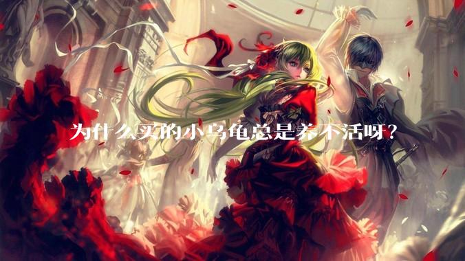 为什么买的小乌龟总是养不活呀？